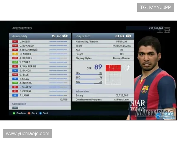 全球足球明星风采大揭秘及个人成就详解介绍表 全球足球明星风采大揭秘及个人成就详解介绍表