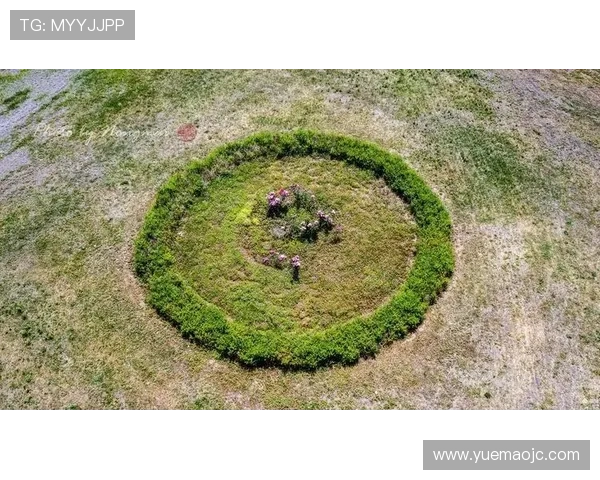 全球足球巨星全景解析及其辉煌成就与影响力展示
