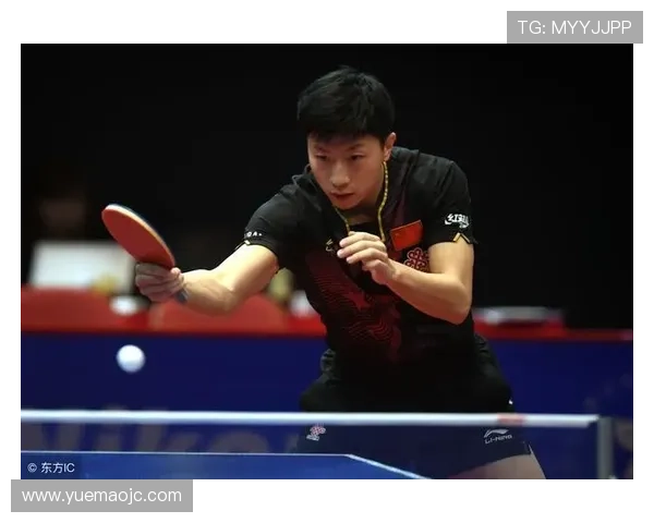 北京乒乓球队挑战赛战术分析与表现评估的深度解读