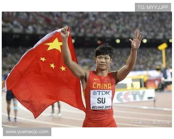 北京乒乓球队在钻石联赛中的拼搏历程与荣耀时刻全面回顾