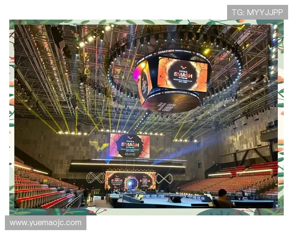 北京乒乓球队的拼搏历程与荣耀时刻深度揭秘