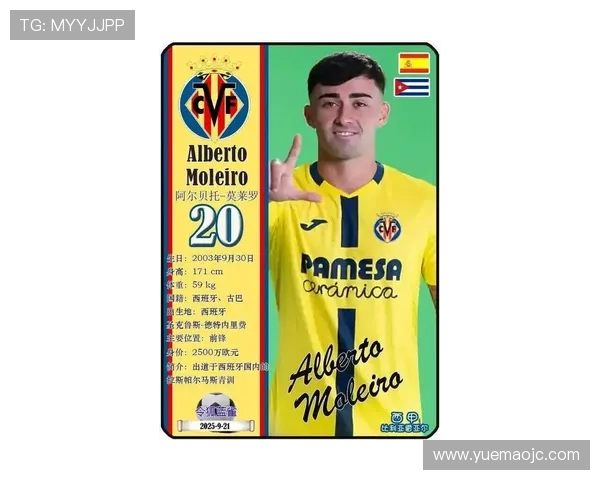 利比亚足球明星在国际足坛的排名及影响力分析 利比亚足球明星在国际足坛的排名及影响力分析