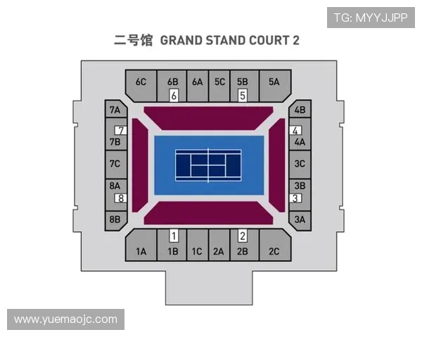 北京排球队在大师赛中的状态分析与表现评估