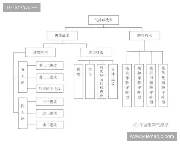 北京排球队控制打法深度分析与战术解读