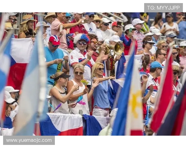 北京网球队在世界杯预选赛中的比赛经验与表现分析