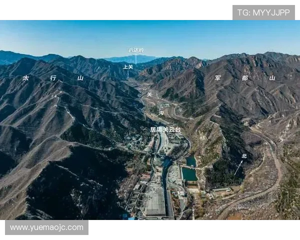 北京排球队防守体系解析与战术运用探讨