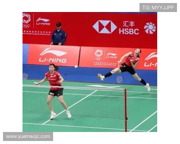 南京羽毛球队拼搏历程揭秘锦标赛背后的奋斗与荣耀