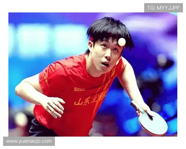 武汉乒乓球队技术实力强劲荣登全国第二名引发关注