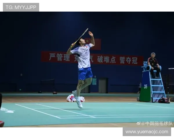 深入探讨北京羽毛球队与其他队伍的实力差异与发展潜力分析